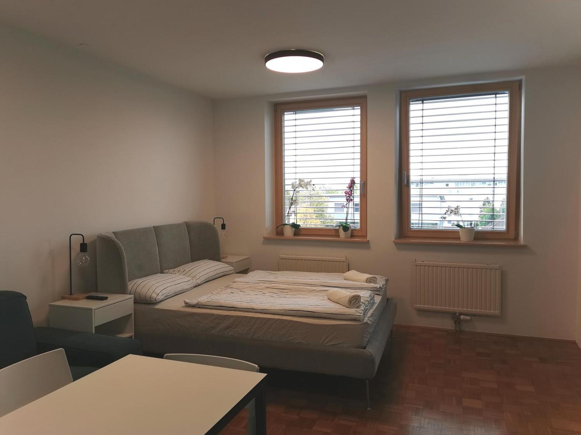 Apartment Dunajska *